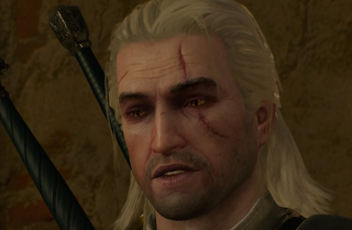 Illustration for article titled The Witcher 3: Wild Hunt: The Kotaku Review